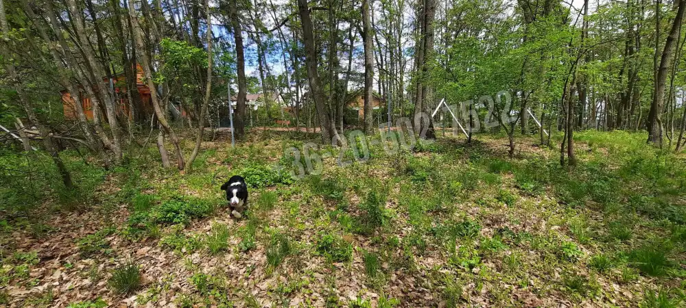 Pest megye - Kismaros