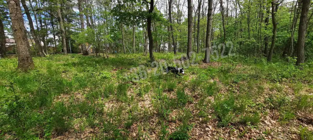 Pest megye - Kismaros