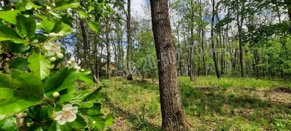 Pest megye - Kismaros