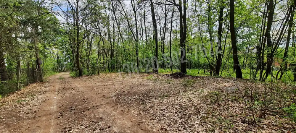 Pest megye - Kismaros