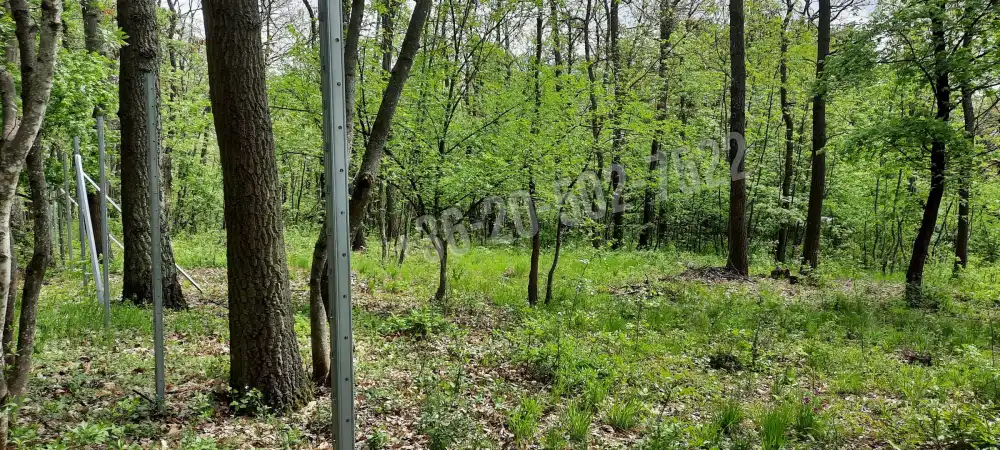 Pest megye - Kismaros