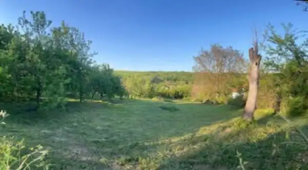 Eladó Építési telek, Kisnémedi 2650 m² 28 M Ft Eladó Építési telek, Kisnémedi 2650 m² 28 M Ft