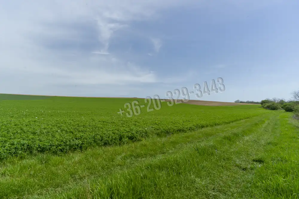 Komárom-Esztergom megye - Kömlőd