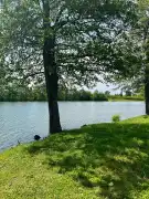 Komárom-Esztergom megye - Környe