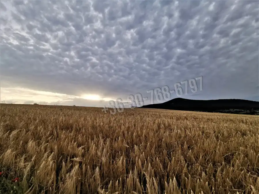 eladó  Építési telek, Kosd