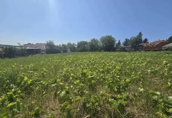 Eladó Építési telek, Kosd 1210 m² 25.9 M Ft