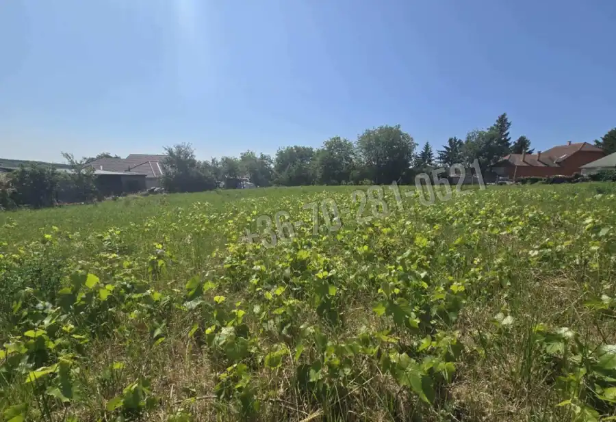 eladó  Építési telek, Kosd