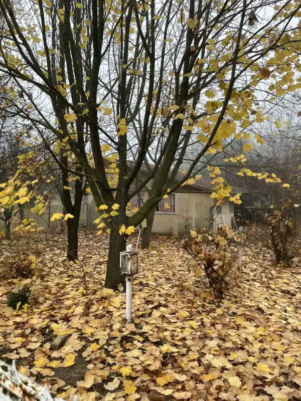 Eladó Építési telek, Kulcs 1010 m² 16 M Ft