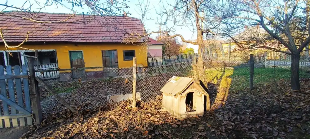 Bács-Kiskun megye - Kunszentmiklós