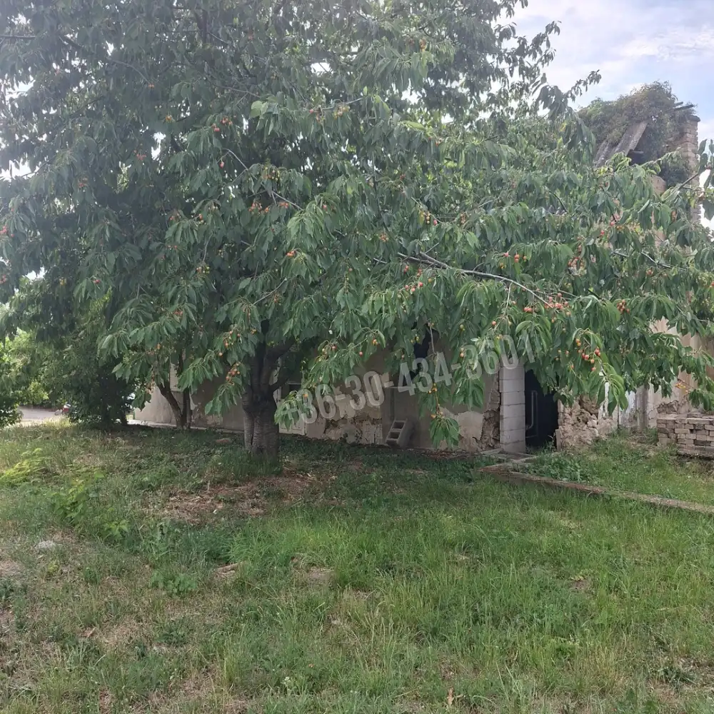 Fejér megye - Mány