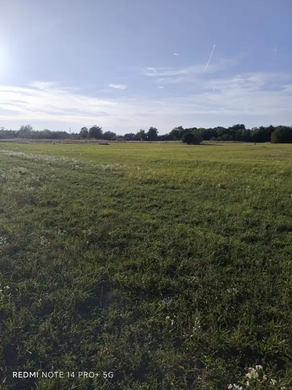 Eladó Építési telek, Mindszentpuszta 1790 m² 16.9 M Ft Eladó Építési telek, Mindszentpuszta 1790 m² 16.9 M Ft