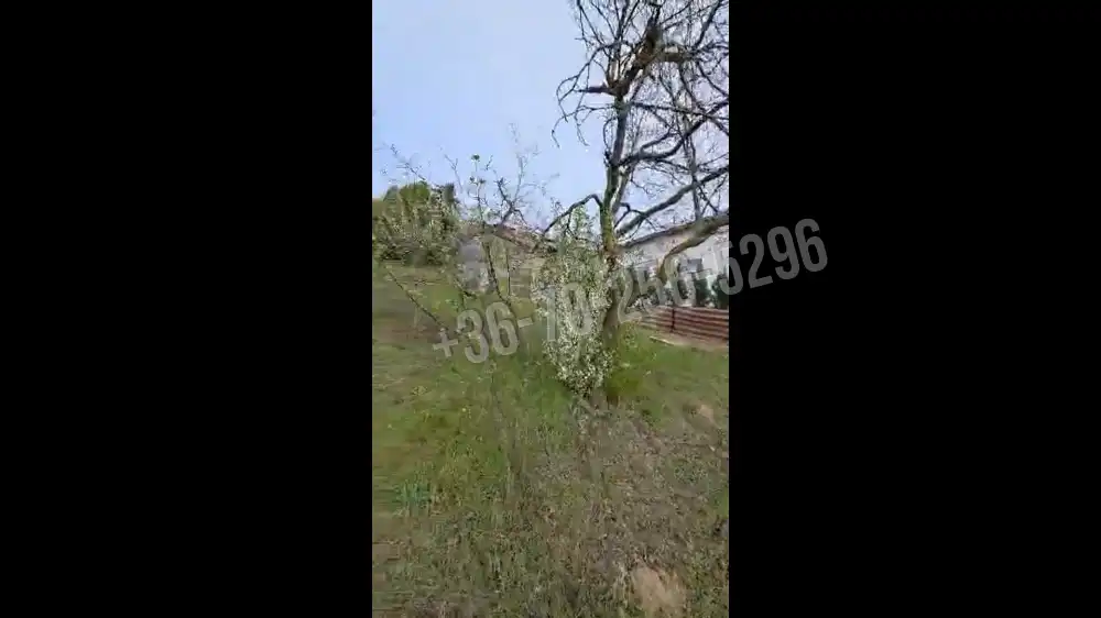 Pest megye - Mogyoród