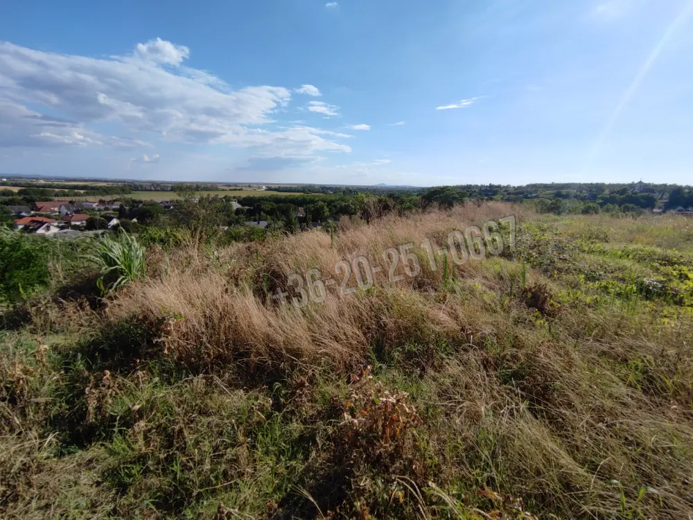Baranya megye - Mohács