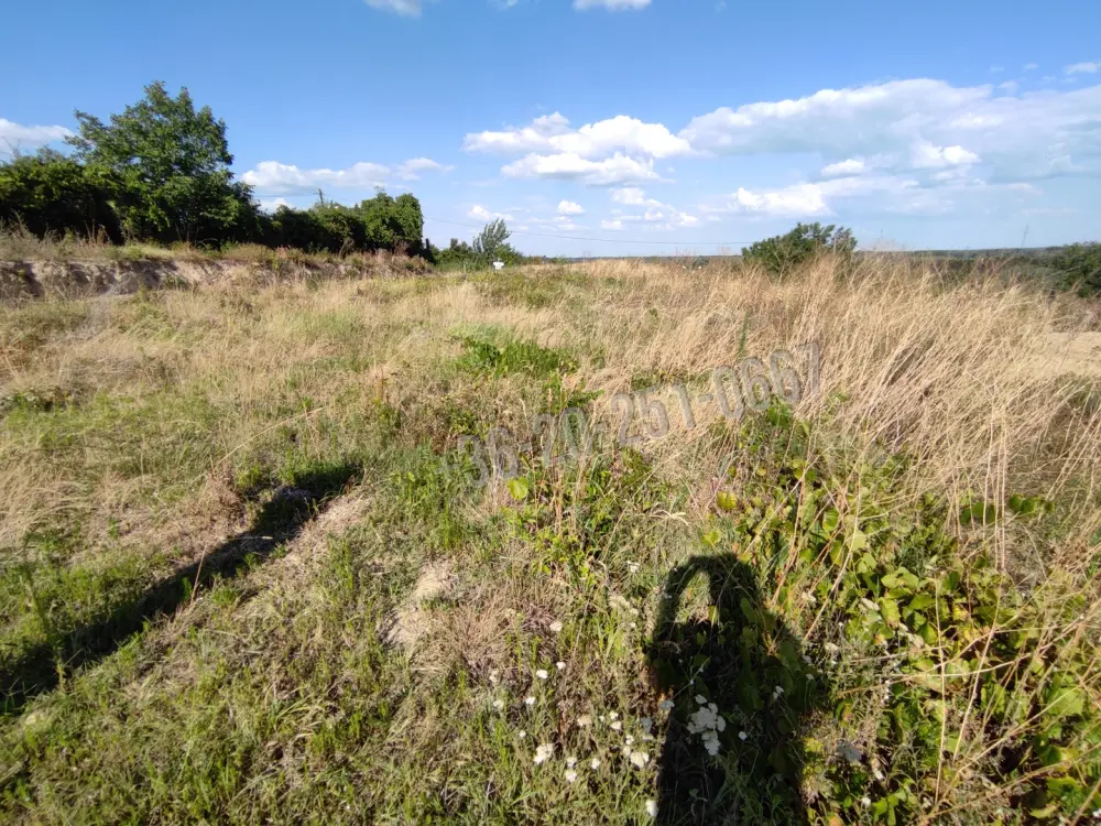 Baranya megye - Mohács