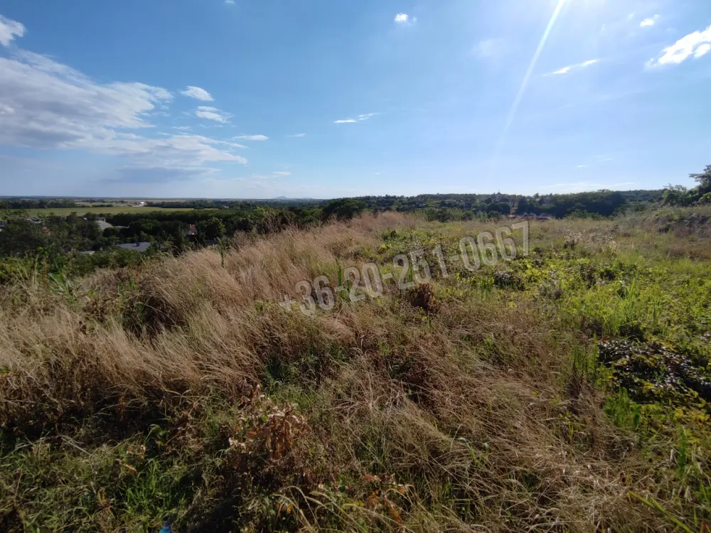 Baranya megye - Mohács