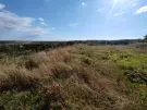 Baranya megye - Mohács