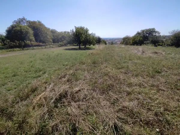 Eladó Építési telek, Mohács 2000 m² 2 M Ft