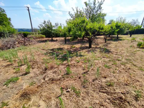 Eladó Építési telek, Mohács 686 m² 1 M Ft