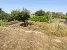 Baranya megye - Mohács