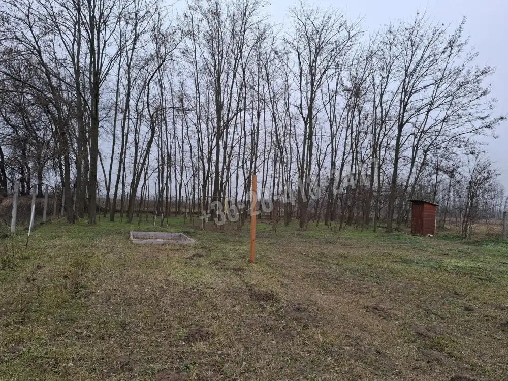 Pest megye - Monorierdő