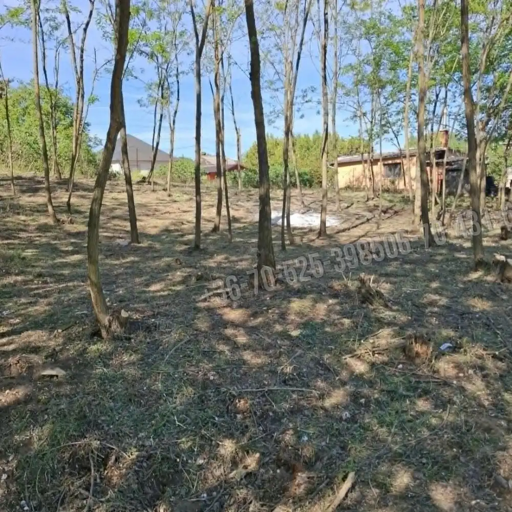 Pest megye - Monorierdő