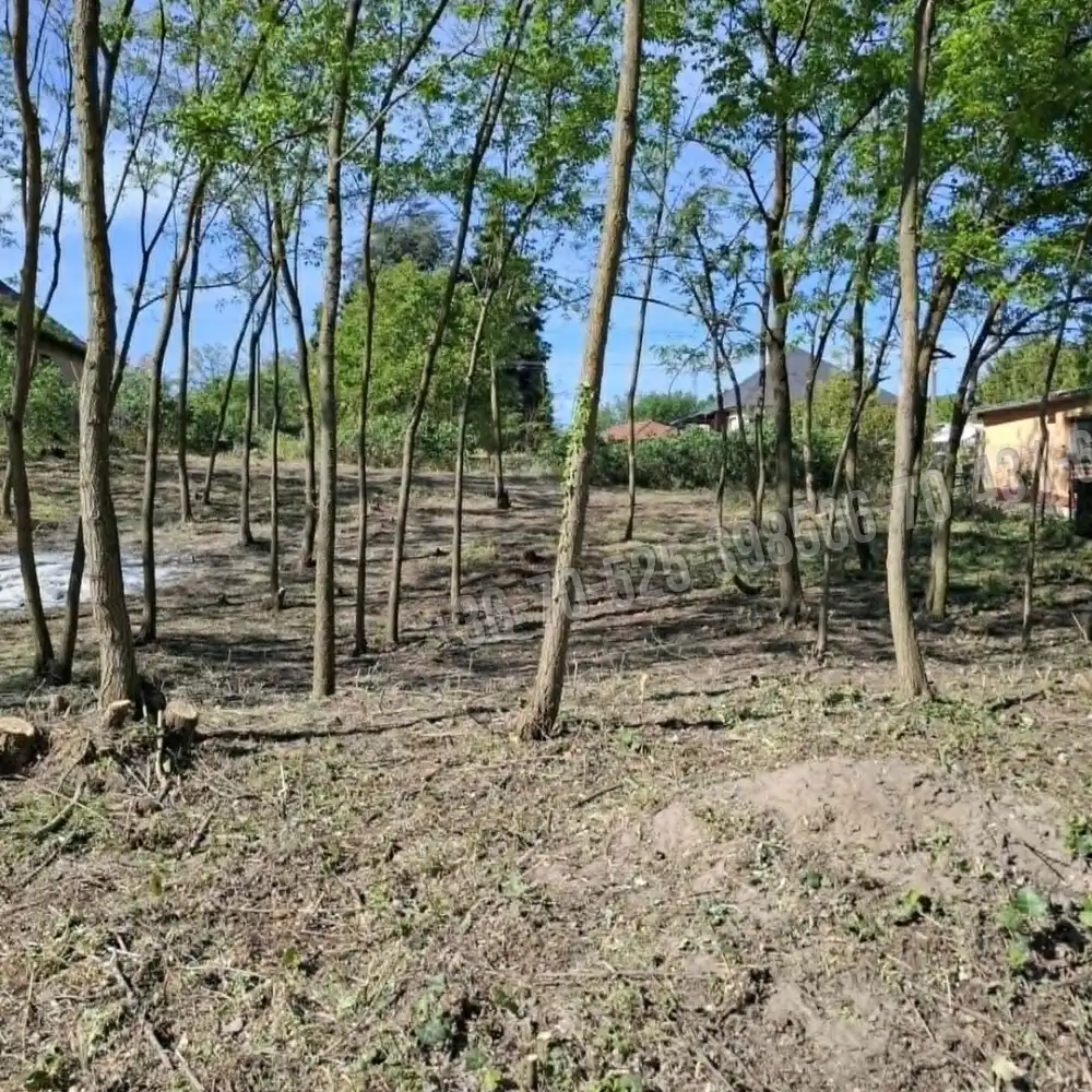 Pest megye - Monorierdő