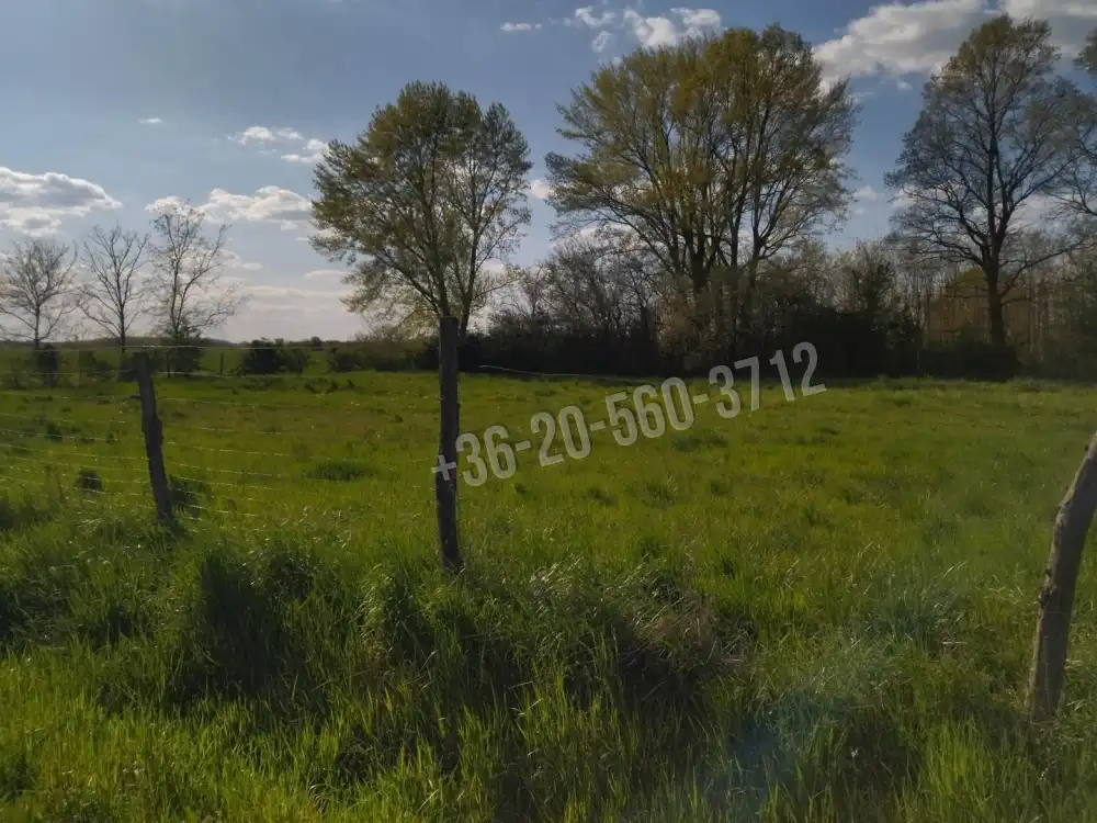 Veszprém megye - Nagyalásony