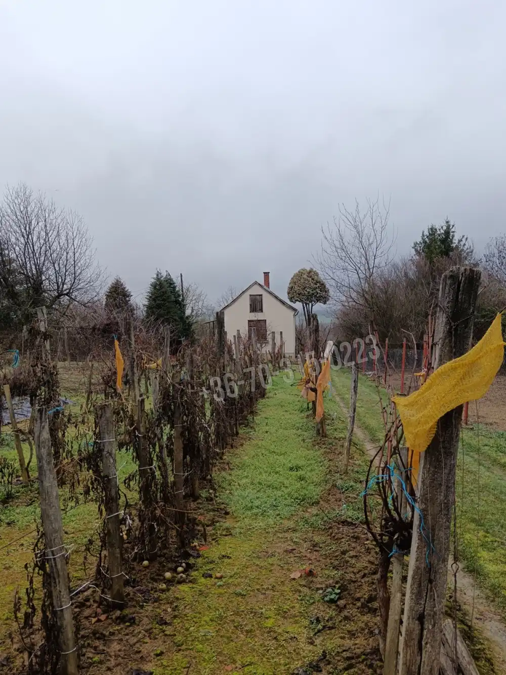 Zala megye - Nagykanizsa