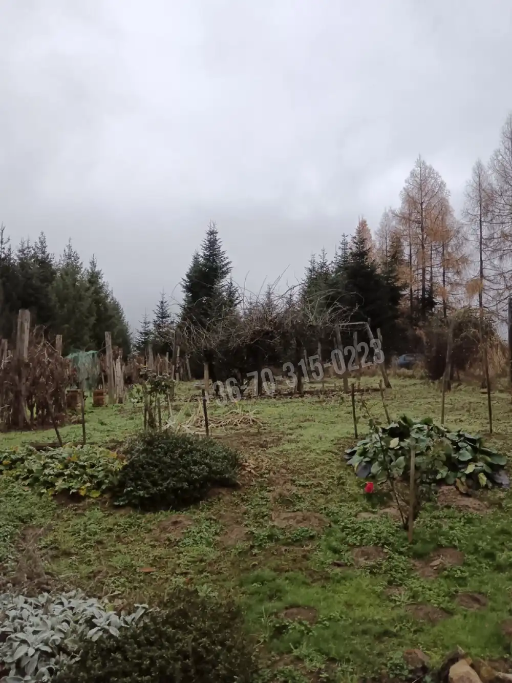 Zala megye - Nagykanizsa