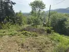 Pest megye - Nagymaros