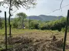 Pest megye - Nagymaros