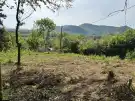 Pest megye - Nagymaros