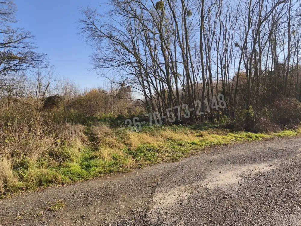 Zala megye - Nagypáli