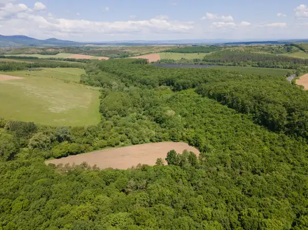 Eladó Építési telek, Nógrád 44171 m² 30.9 M Ft