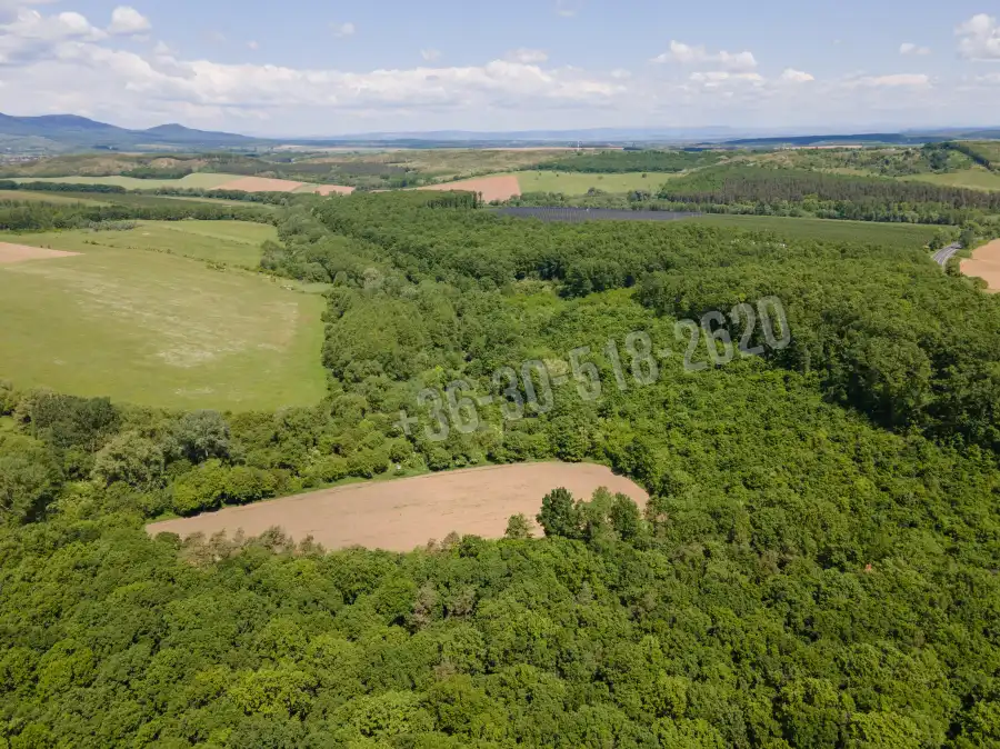 eladó  Építési telek, Nógrád