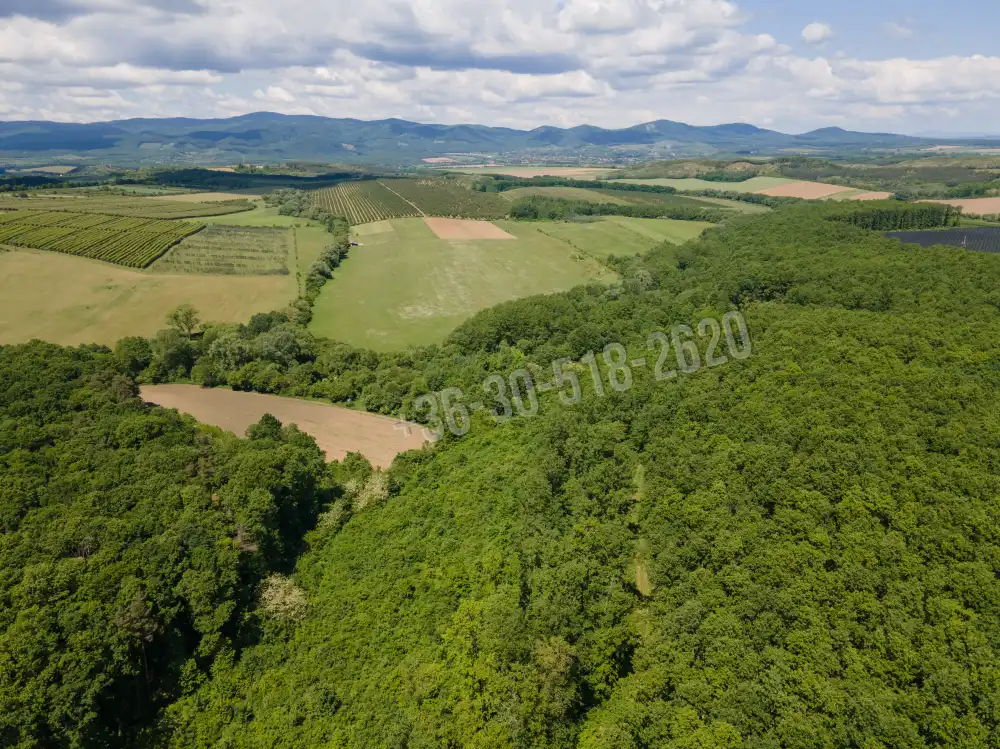 Nógrád megye - Nógrád