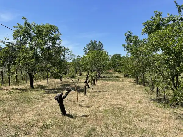 Eladó Építési telek, Nyírpazony 1508 m² 6.49 M Ft