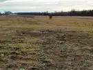 Pest megye - Őrbottyán