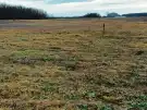 Pest megye - Őrbottyán