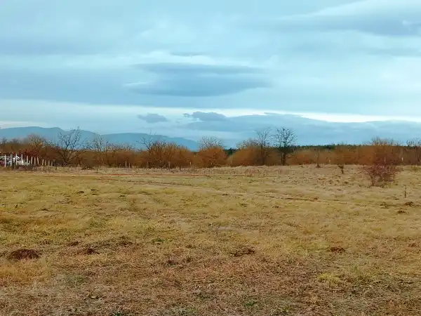 Eladó Építési telek, Őrbottyán 1313 m² 10 M Ft