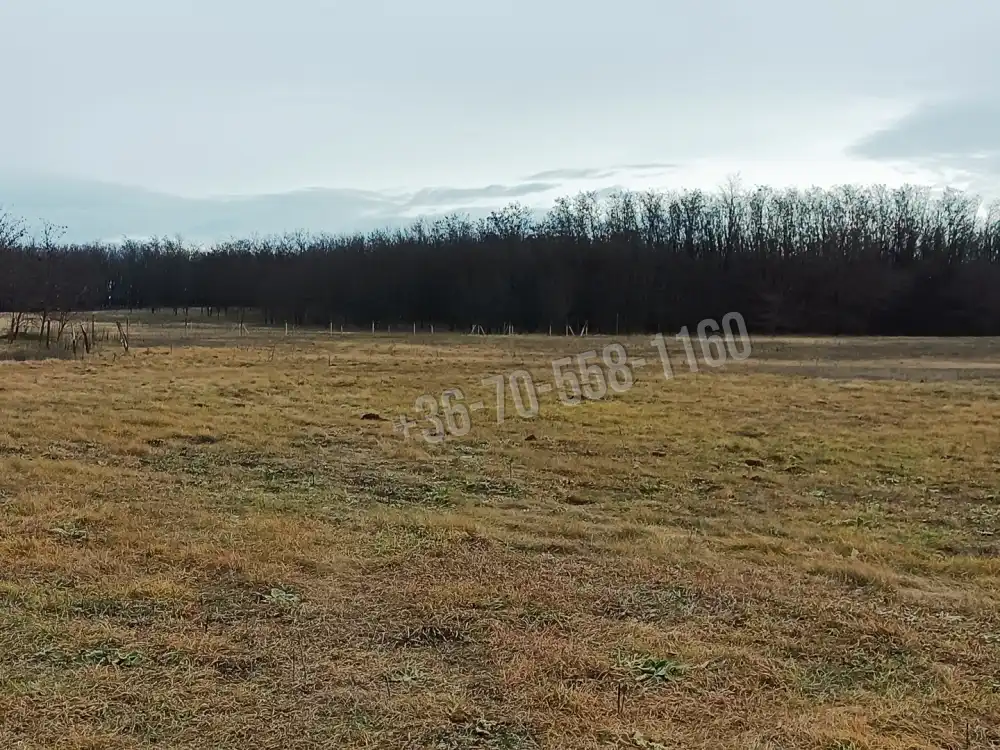Pest megye - Őrbottyán