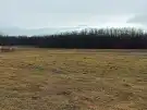 Pest megye - Őrbottyán
