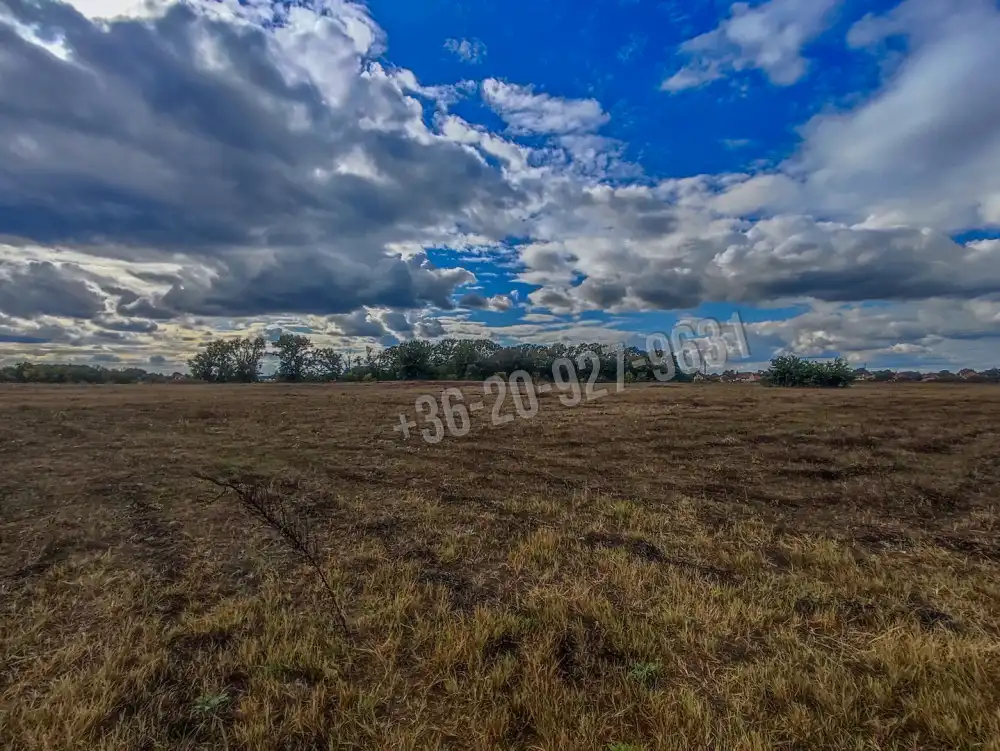 Pest megye - Örkény