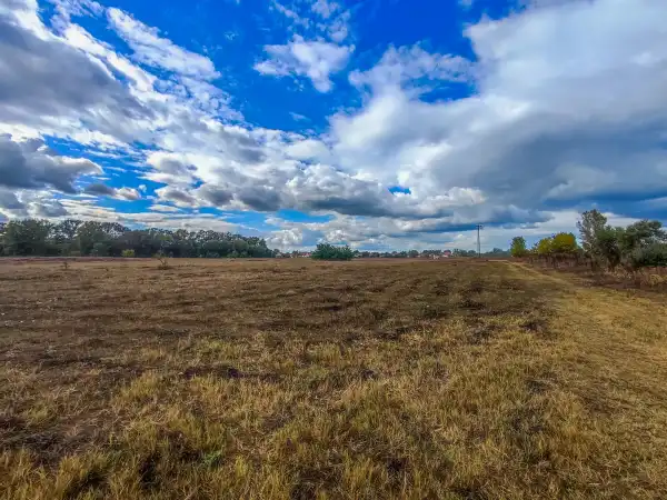 Eladó Építési telek, Örkény 133025 m² 350 M Ft Eladó Építési telek, Örkény 133025 m² 350 M Ft