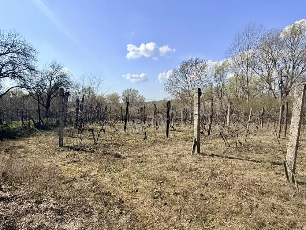 Komárom-Esztergom megye - Oroszlány