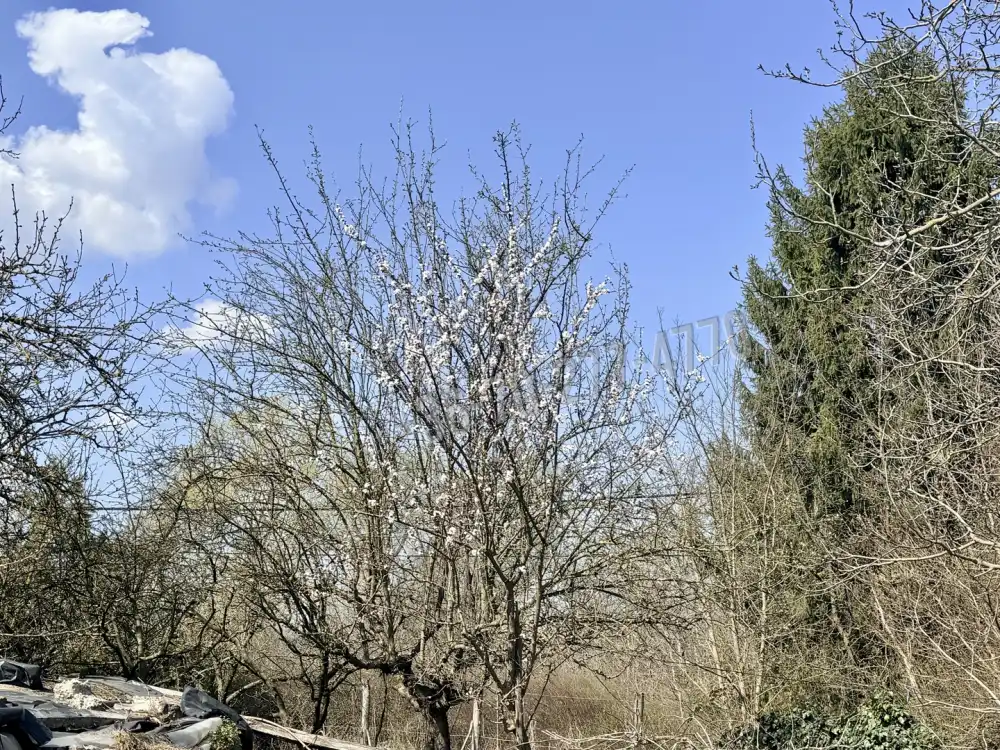 Komárom-Esztergom megye - Oroszlány