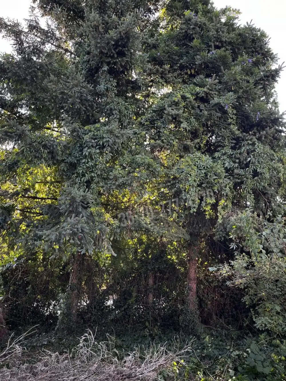 Komárom-Esztergom megye - Oroszlány