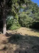 Komárom-Esztergom megye - Oroszlány