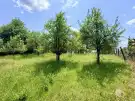 Komárom-Esztergom megye - Oroszlány