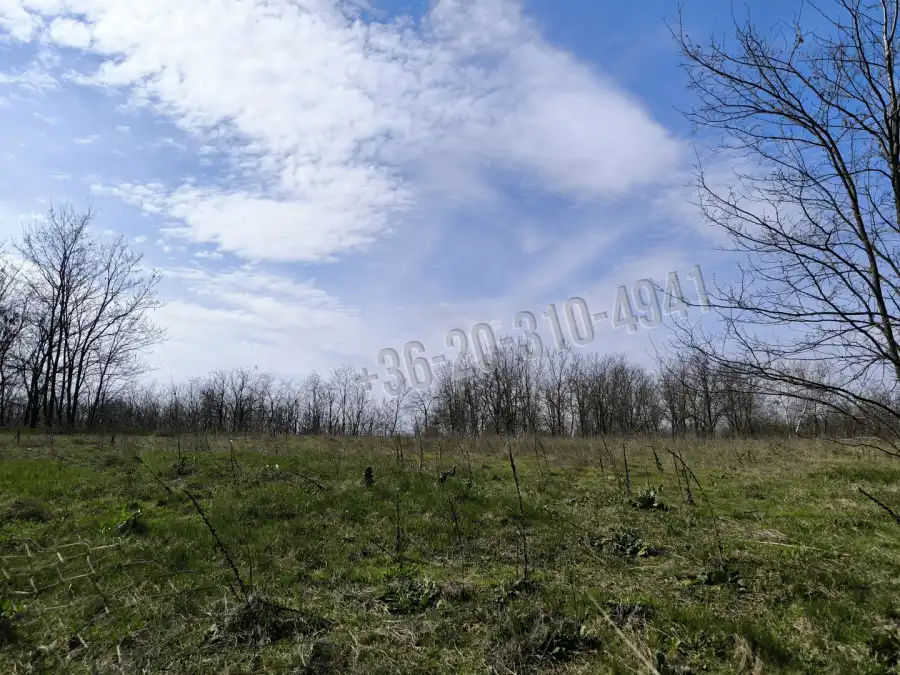 eladó  Építési telek, Paks